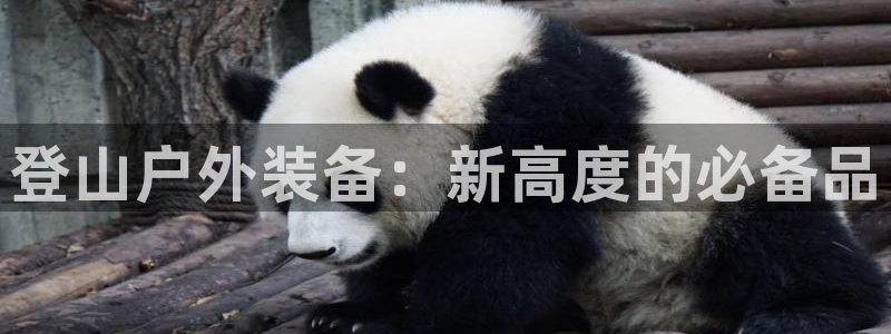 新宝gg网娱乐