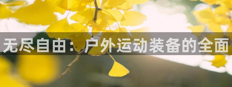 新宝哈哈gg