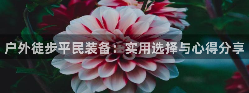 新宝gg开号