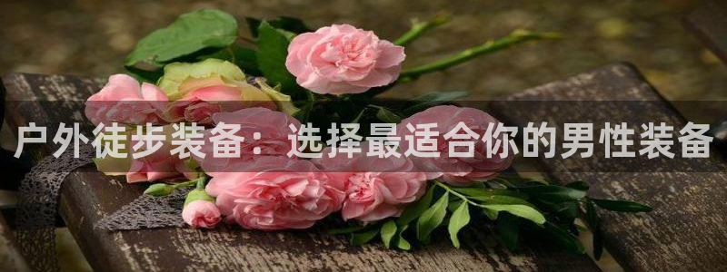 新宝gg登录页面