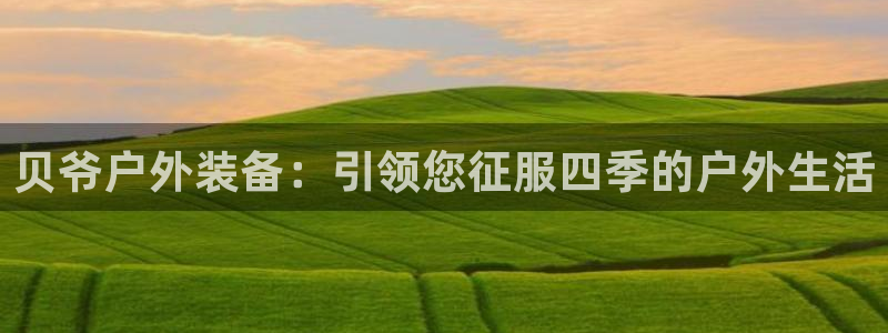 新宝gg咨询55312