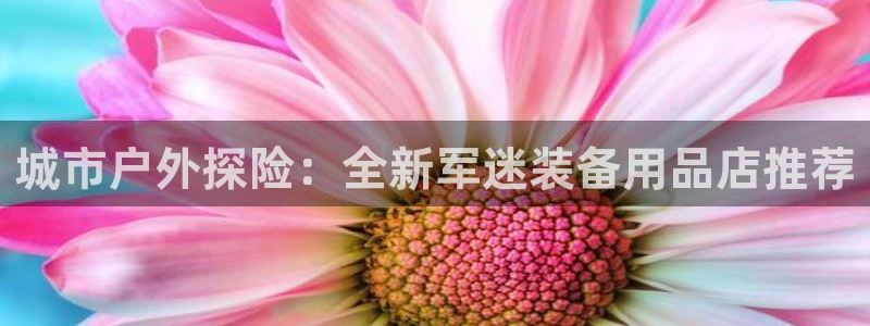 新宝gg地址