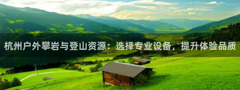 新宝gg图片