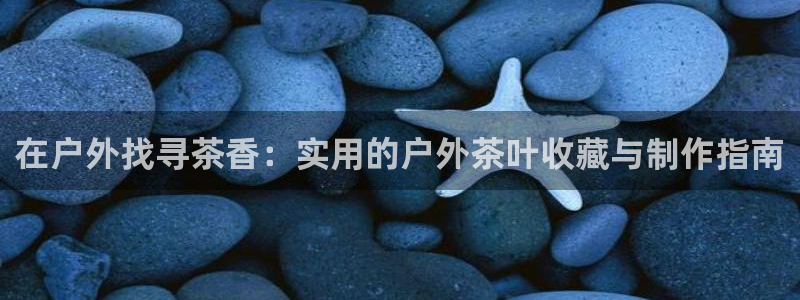新宝gg娱乐主管q42873