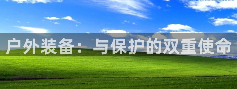 新宝哥gg