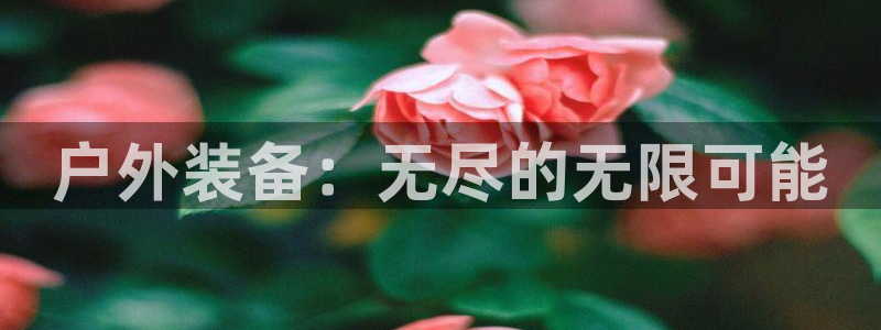 新宝gg挂机app