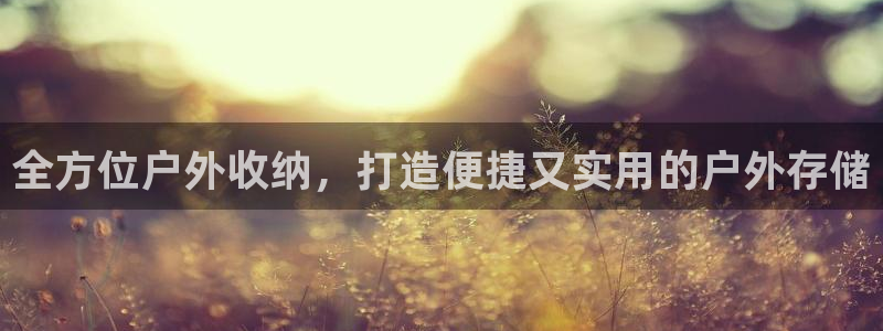 新宝gg真的能赚钱么