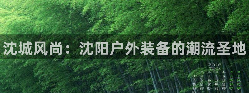 新宝gg娱乐登录地址