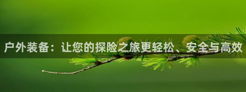 新宝gg直属上级