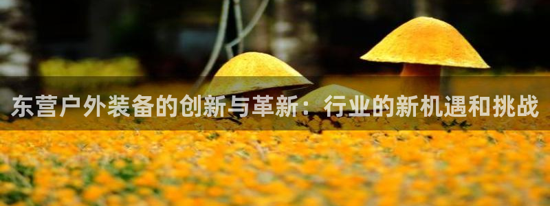 新宝gg有规律么