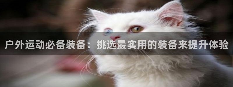 新宝gg是新宝几