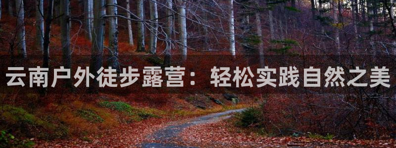 新宝gg手机登录官网