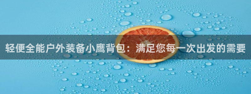 新宝gg在哪开户