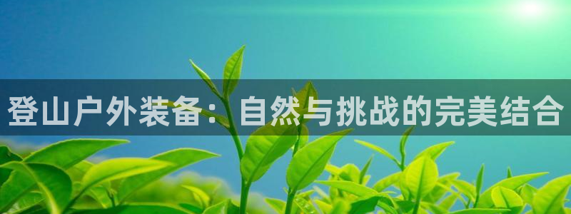 新宝gg平台开发