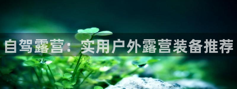 新宝gg平台登录 新宝GG