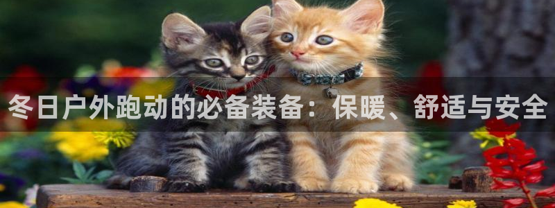 新宝GG手机客户端