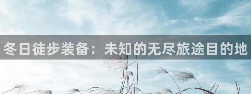 新宝Gg测速地址