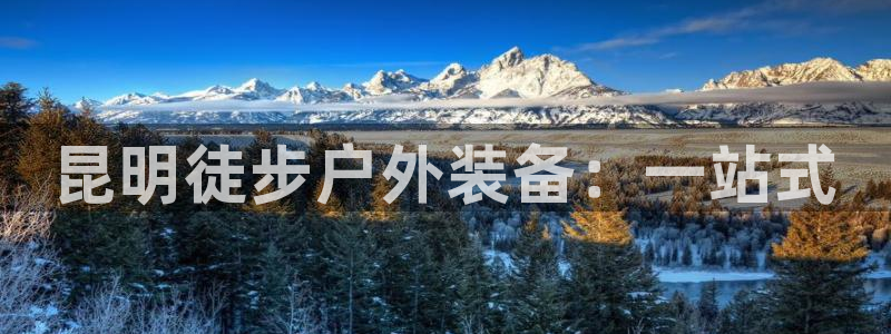 新宝gg平台怎么样