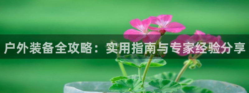 新宝gg招商-299136