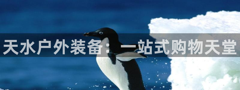 新宝gg