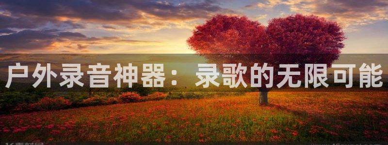 新宝gg代理注册