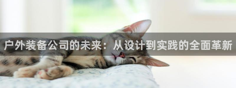 新宝gg手机