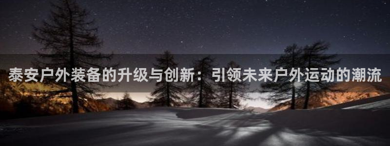 新宝gg玩法