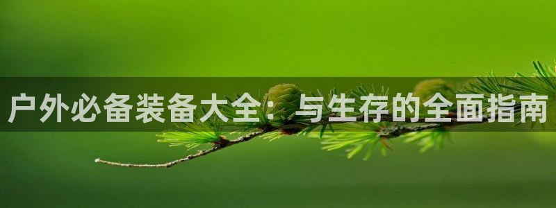 新宝gg注册 776317