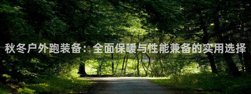 广东新宝电器gg