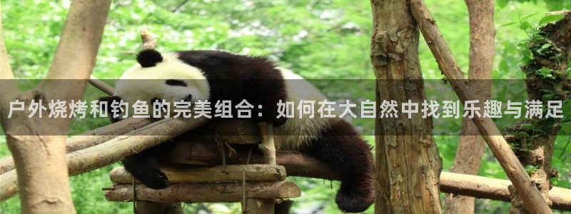 新宝gg登录平台