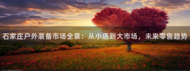 新宝gg登录地址