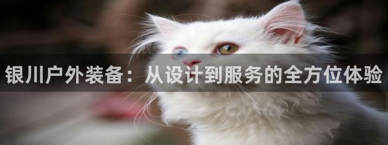 新宝gg高频彩票