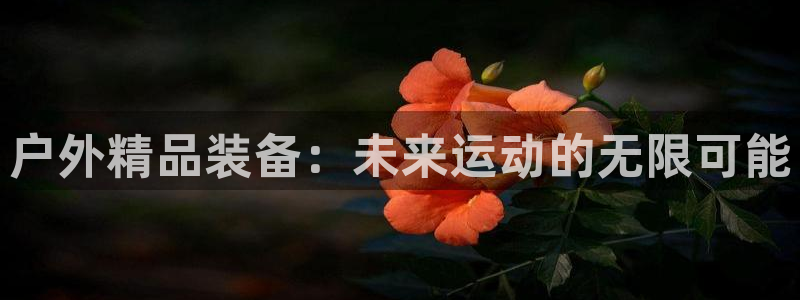 新宝gg官方主管