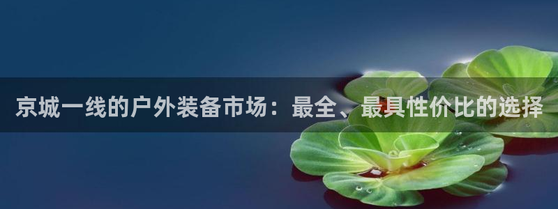 新宝gg创造奇迹平台