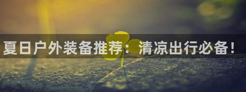 新宝gg如何登录