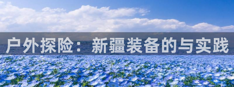 新宝gg官方主管