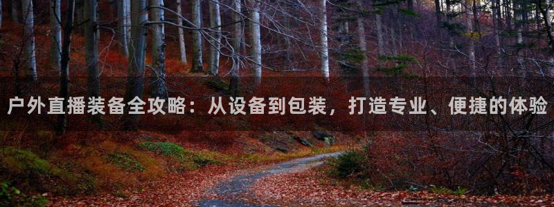 新宝gg手机注册官网