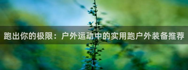 创造奇迹 新宝gg