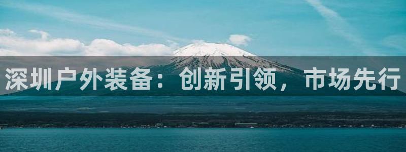 新宝gg手机版下载