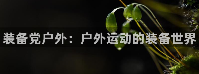 新宝gg开奖结果