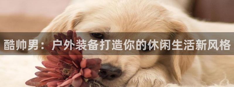 新宝gg下载官网下载