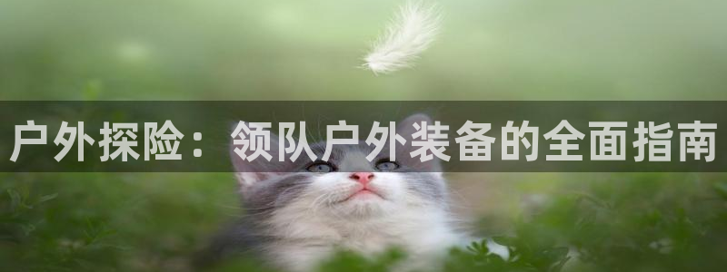 新宝gg挂机软件下载